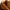 Damen Steppmantel mit Gürtel und Trench-Details – Felicia