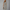 Sommerkleid Damen Luftig Blumenprint Elegant Bequem – Solenya