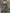 Luftiges Sommerkleid mit floralem Muster – Emilia