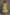 Stretch Kleid Damen mit buntem Print – Alina