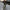 Damen Cargohose mit verstellbarem Beinabschluss – Travira