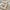 Fleece Sherpa Decke warm weich kuschelig – Greta