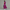 Sommerkleid Damen Luftig Locker Bequem Alltag Elegant – Miravela