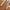 Winterjacke für Herren mit sportlichem Look – Neron