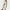 Damen Jeans Weit Elegant Komfortabler Schnitt – Helene