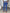 Damen Patchwork Hose Baumwolle Bequem Elastisch mit Gürtel - Maya