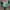 Button-Up Bluse Damen Locker Elegant Casual – Lea
