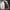Herren Steppjacke Fleece Warm Leicht Elegant – Travion