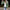Zeitlose Damen-Jeansjacke mit perfekter Passform – Ella