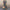 Blumen Maxikleid Damen mit fließender Eleganz – Marilys