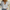 Klassische Damenbluse mit Knopfverschluss Look – Elanira
