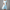 Baumwoll Langkleid Damen Elegant Sommer Look – Mila