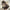 Kaschmir Strickschal Winter Warm & Weich – Lena