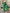 Hose mit hoher Taille und lockerer Passform – Nina