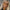 Übergroße Retro-Sonnenbrille UV-Schutz Damen & Herren – Lena