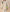 Flauschige Winterjacke mit Fleece – Noa