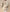 Flauschige Winterjacke mit Fleece – Noa