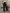 Hose mit hoher Taille und lockerer Passform – Nina