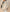 Flauschige Winterjacke mit Fleece – Noa