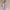 Gestreiftes Kleid Locker Elegant Vielseitig Damen – Nerina