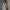 Eleganter Damen Wintermantel mit klassischem Schnitt – Veloura