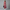 Sommerkleid Damen Luftig Locker Bequem Alltag Elegant – Miravela