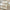 Fleece Sherpa Decke warm weich kuschelig – Greta