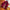 Winterjacke für Herren mit sportlichem Look – Neron