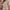 V-Ausschnitt Bluse Damen gewebt locker – Livia