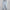 Zerrissene Jeans Damen Plus Size & High Waist – UrbanEdge