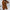 Damen Übergangsjacke Elegant Vielseitig Wetterfest – Liora