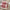 Fleece Sherpa Decke warm weich kuschelig – Greta