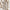 Langer Damen Cardigan weich mit elegantem Schnitt – Amalia