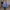 Button-Up Bluse Damen Locker Elegant Casual – Lea