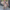 Florales Maxi Kleid für Alltag & Events – Selina