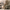 Damen Hausanzug Winter Weich Elegant Set – Elodie