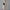 Sommerkleid Damen Locker Vintage Hemdstil Elegant – Floraniva