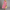Elegantes Maxikleid für Damen mit perfekter Figur – Lara