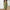 Strick Sommerkleid Figurbetont Seitenschlitz Elegant – Valeria