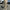 Damen Cargohose mit verstellbarem Beinabschluss – Travira
