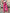 Hose mit hoher Taille und lockerer Passform – Nina