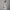 Sommerkleid Damen Luftig Blumenprint Elegant Bequem – Solenya