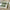 Fleece Sherpa Decke warm weich kuschelig – Greta