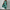 Blumen Kleid Damen locker elegant luftig Sommer – Fioralisa