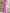 Leopardenprint Maxikleid mit hoher Taille – Soraya