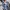 Damen Winterpullover Weich Warm Alltag Elegant – Mila