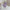 Wisteria Quasten-Ohrringe mit Naturdesign – Seraphine
