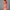 Gestreiftes Hemdblusenkleid für Damen – Sophia
