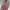 Elegantes Midikleid mit figurbetontem Schnitt – Clara