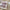 Fleece Sherpa Decke warm weich kuschelig – Greta
